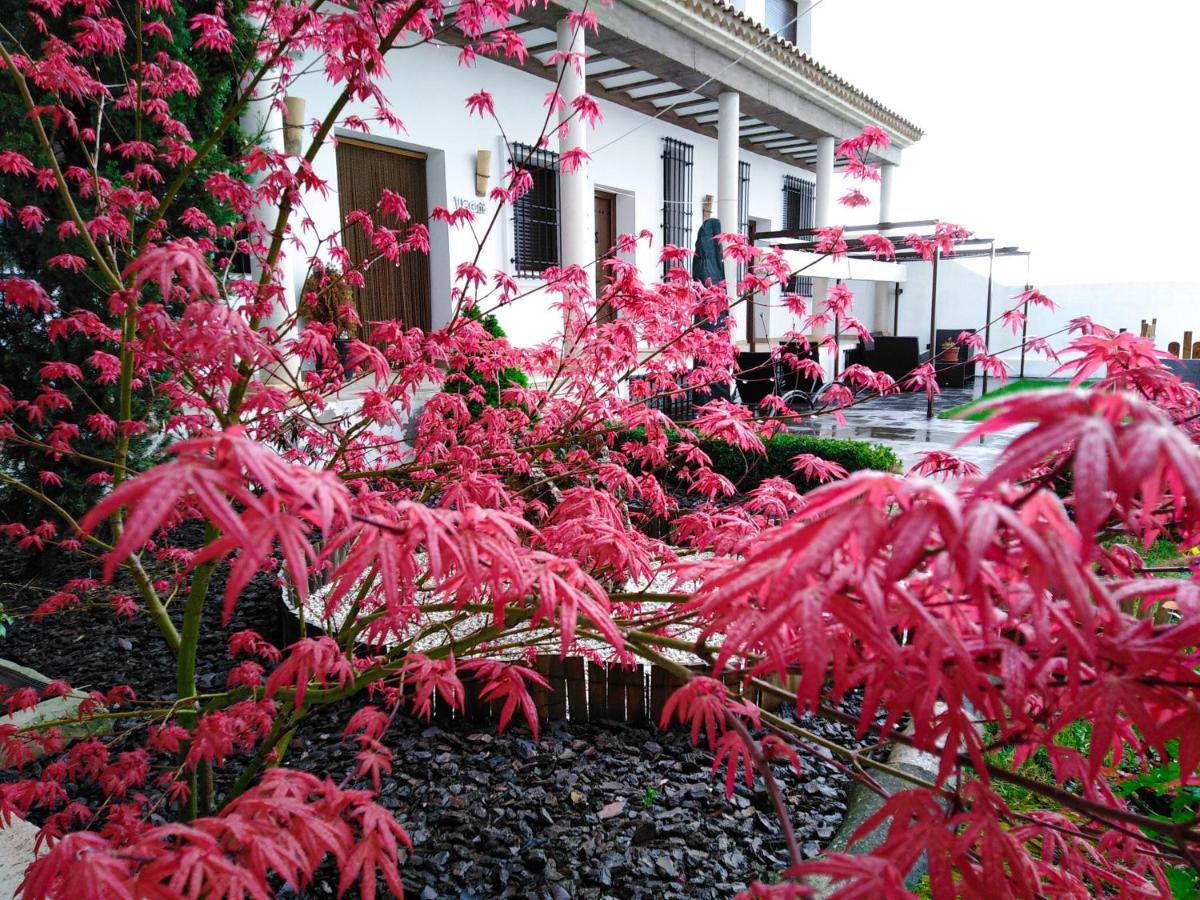 Insula Barataria Hotel Belmonte  Exterior photo